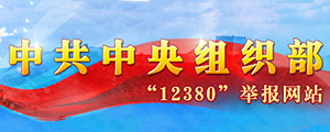 12380举报系统-郑州文达岭峰-客户案例